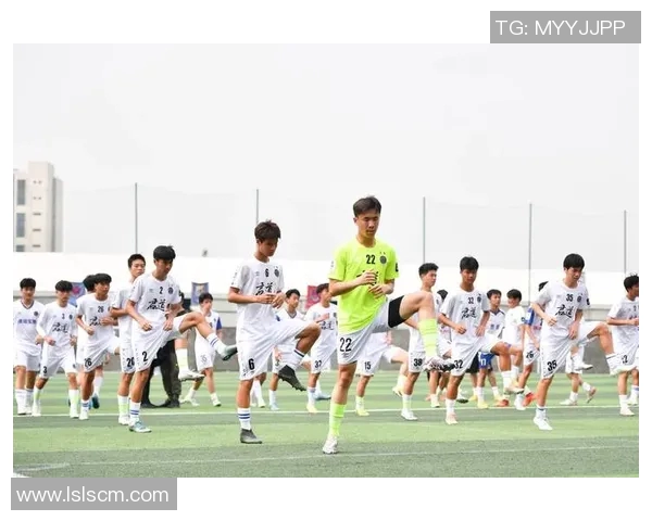 深入了解我们的足球队:历史成就战术风格与球员风采全解析