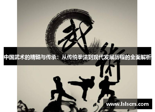 中国武术的精髓与传承：从传统拳法到现代发展历程的全面解析